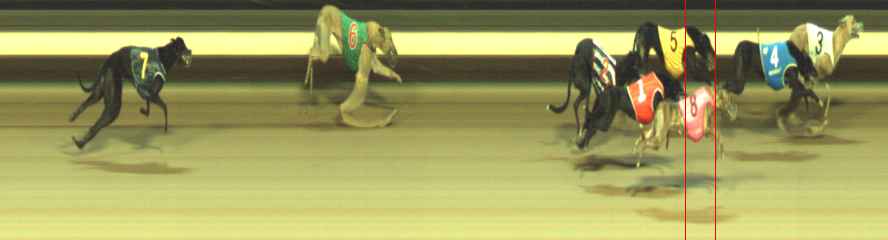 Photo finish for Warragul Race 12