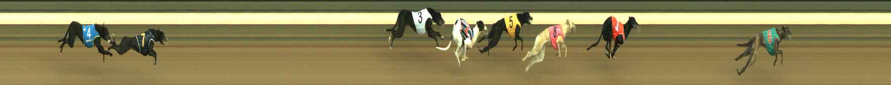 Photo finish for Warragul Race 1