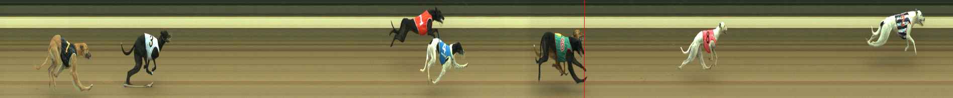 Photo finish for Warragul Race 2