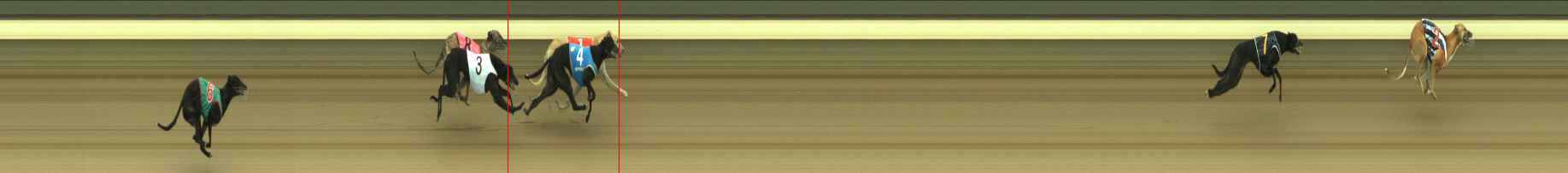 Photo finish for Warragul Race 3
