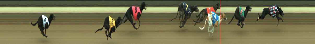Photo finish for Warragul Race 5