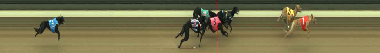 Photo finish for Warragul Race 6