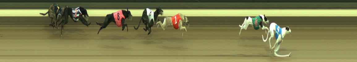 Photo finish for Warragul Race 7