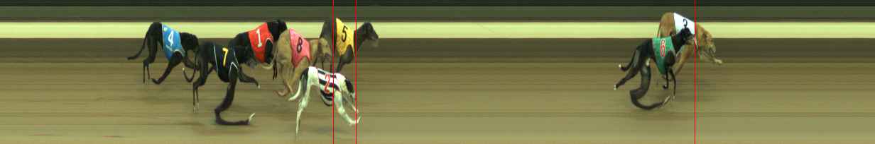 Photo finish for Warragul Race 8