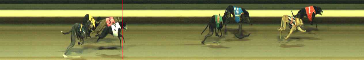 Photo finish for Warragul Race 11