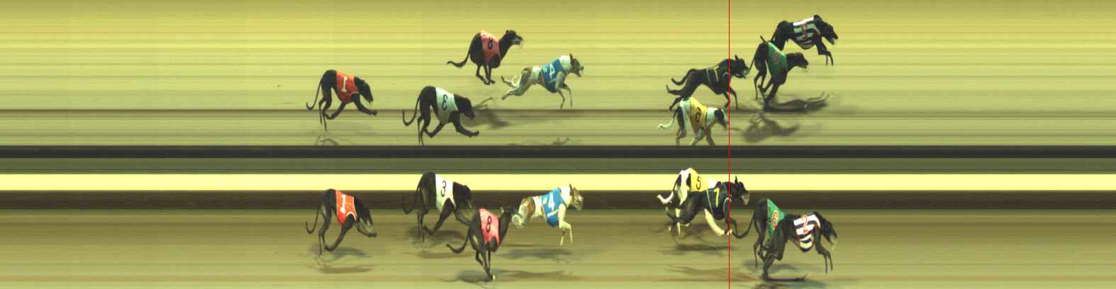Photo finish for Warragul Race 12