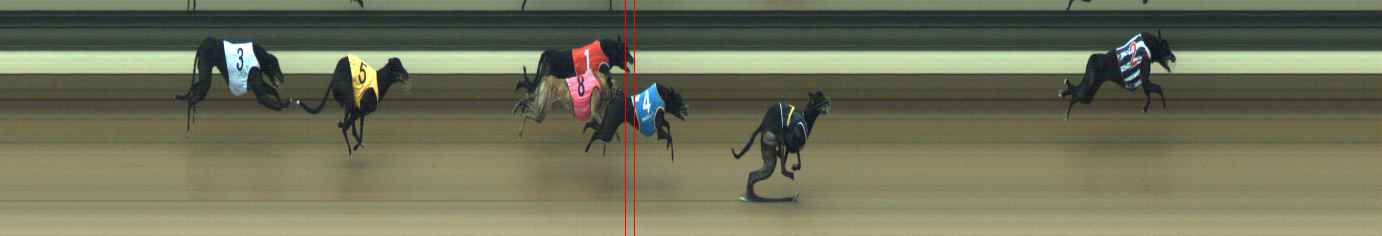 Photo finish for Warragul Race 4