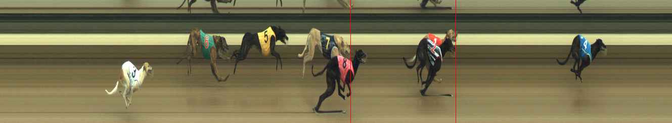 Photo finish for Warragul Race 5
