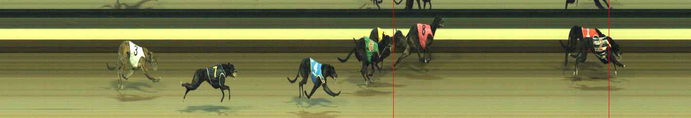 Photo finish for Warragul Race 7