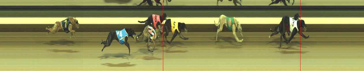 Photo finish for Warragul Race 8