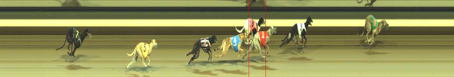 Photo finish for Warragul Race 11