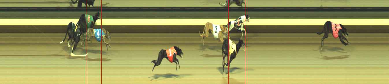 Photo finish for Warragul Race 12