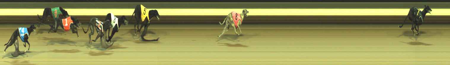 Race result finish photo