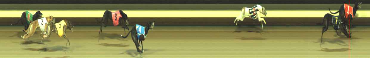 Photo finish for Warragul Race 3