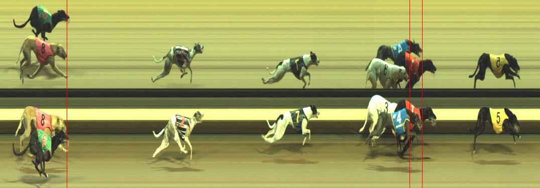 Photo finish for Warragul Race 4