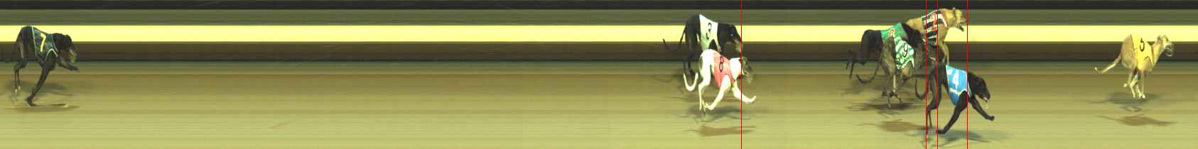 Photo finish for Warragul Race 5