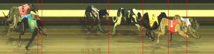 Photo finish for Warragul Race 6