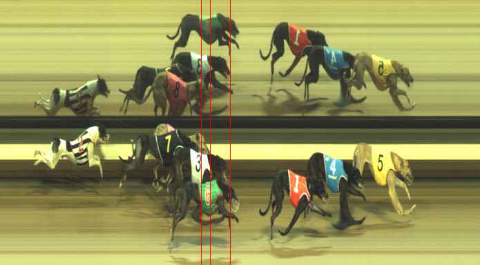Photo finish for Warragul Race 7