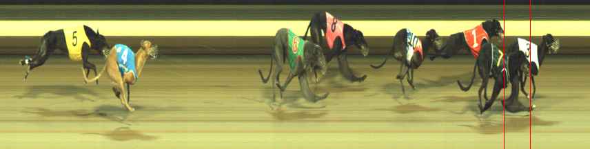 Photo finish for Warragul Race 8