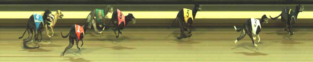 Photo finish for Warragul Race 9