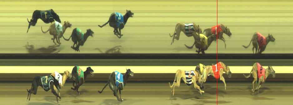 Photo finish for Warragul Race 10