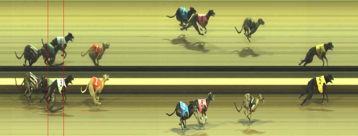 Photo finish for Warragul Race 11