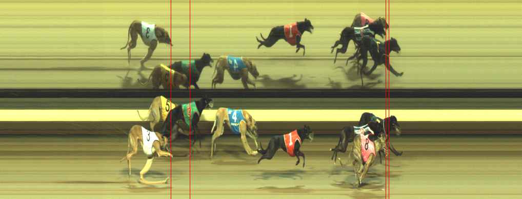 Photo finish for Warragul Race 12