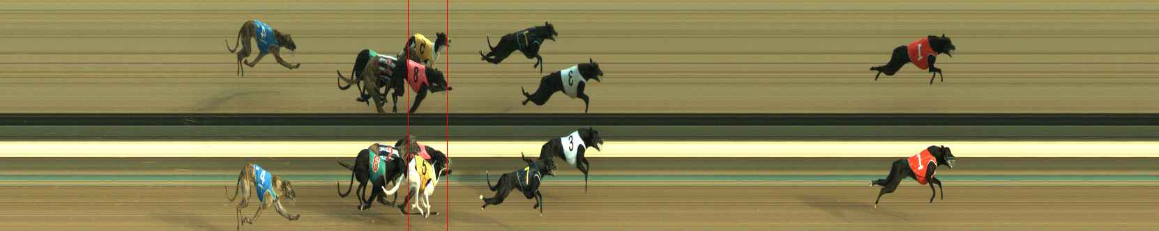 Photo finish for Warragul Race 2