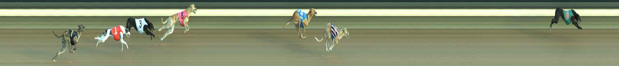 Photo finish for Warragul Race 3