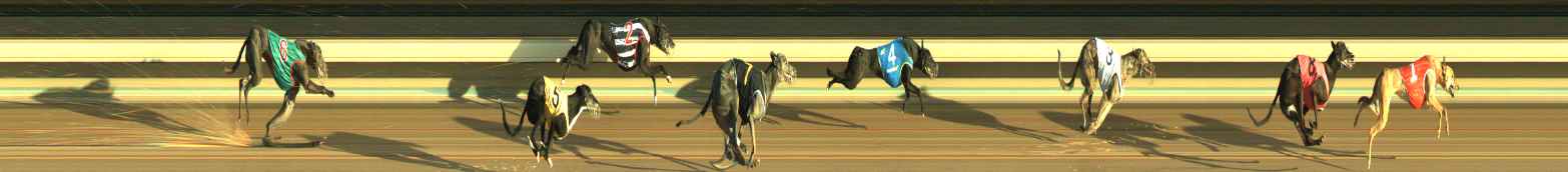 Photo finish for Warragul Race 4