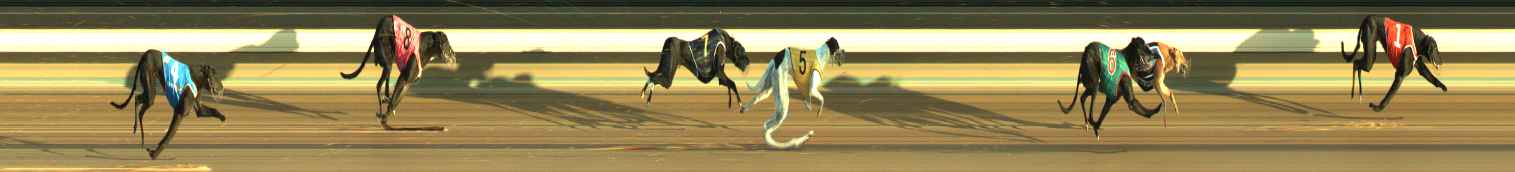 Photo finish for Warragul Race 5