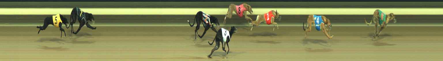 Photo finish for Warragul Race 7