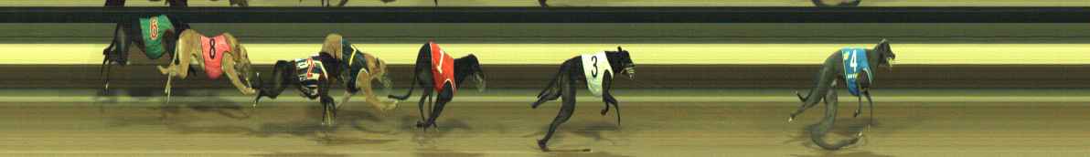 Photo finish for Warragul Race 8