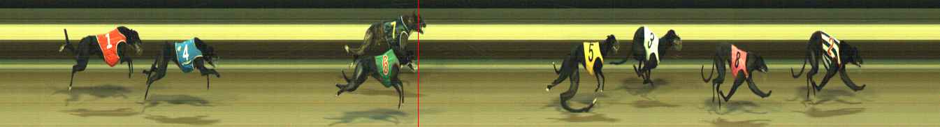 Photo finish for Warragul Race 9