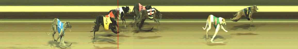 Photo finish for Warragul Race 11