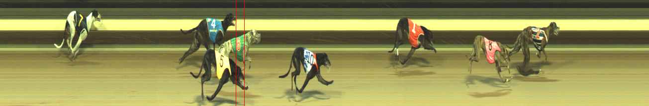 Photo finish for Warragul Race 12