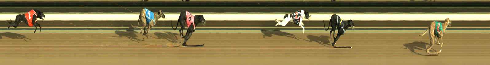 Photo finish for Warragul Race 1
