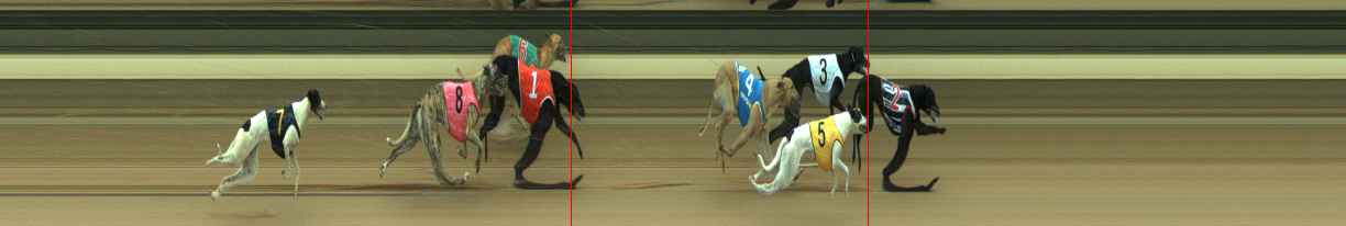 Photo finish for Warragul Race 4