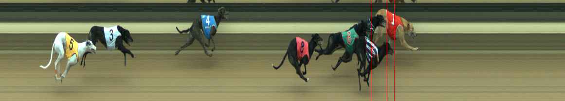 Photo finish for Warragul Race 6