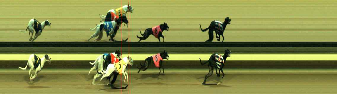 Photo finish for Warragul Race 9