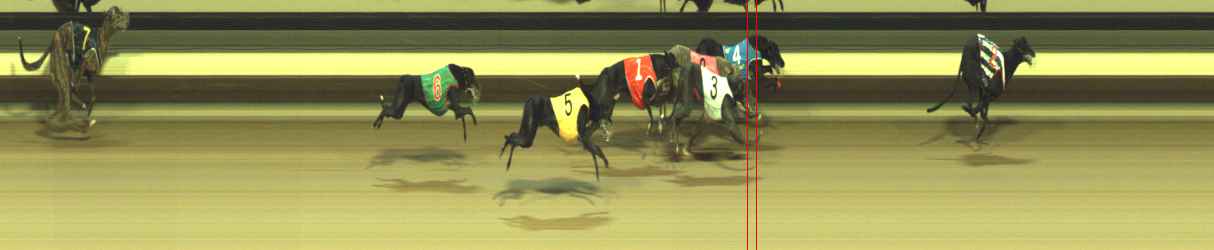 Photo finish for Warragul Race 11
