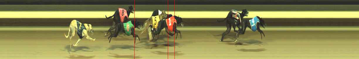 Photo finish for Warragul Race 12