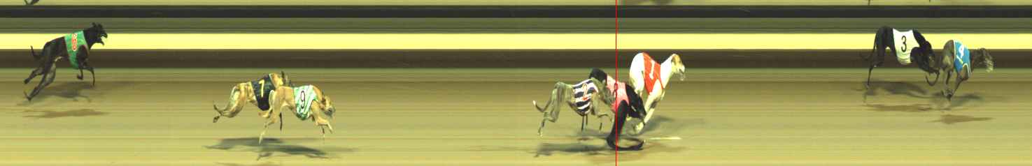 Photo finish for Warragul Race 1