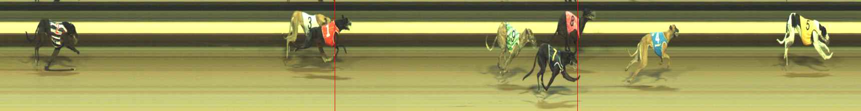Photo finish for Warragul Race 2