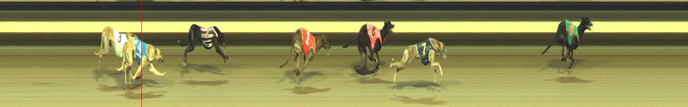 Photo finish for Warragul Race 4