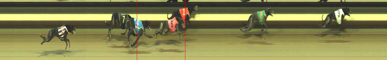 Photo finish for Warragul Race 5
