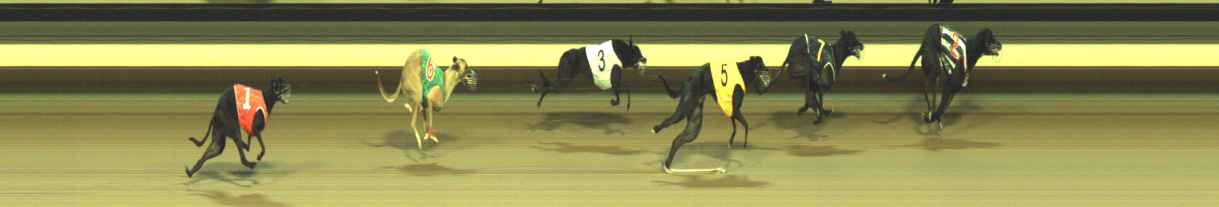 Photo finish for Warragul Race 7