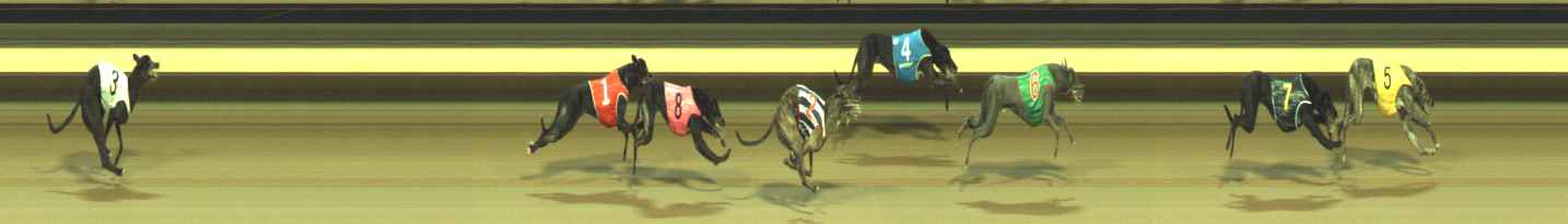 Photo finish for Warragul Race 8