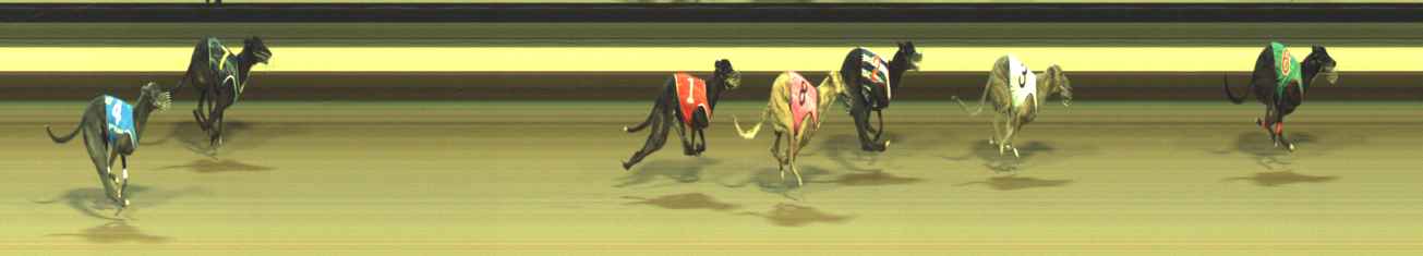 Photo finish for Warragul Race 9