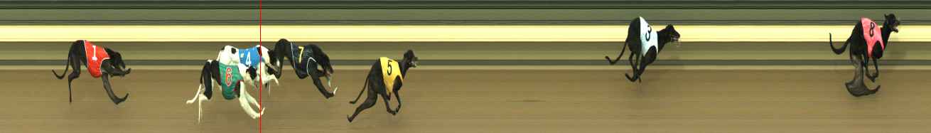 Photo finish for Warragul Race 1